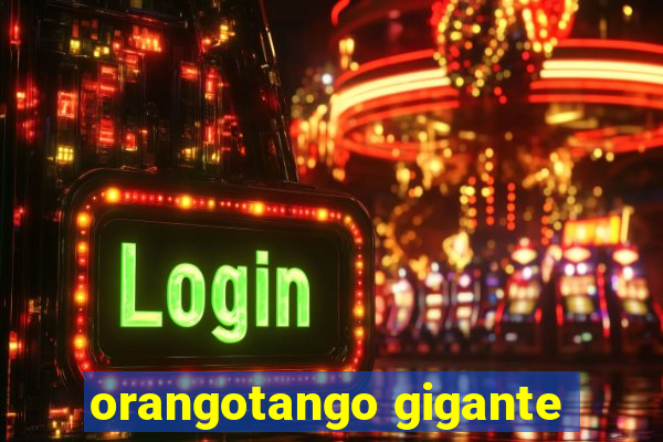 orangotango gigante